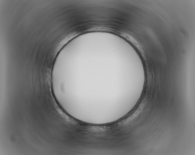 X0000112411049200909110946