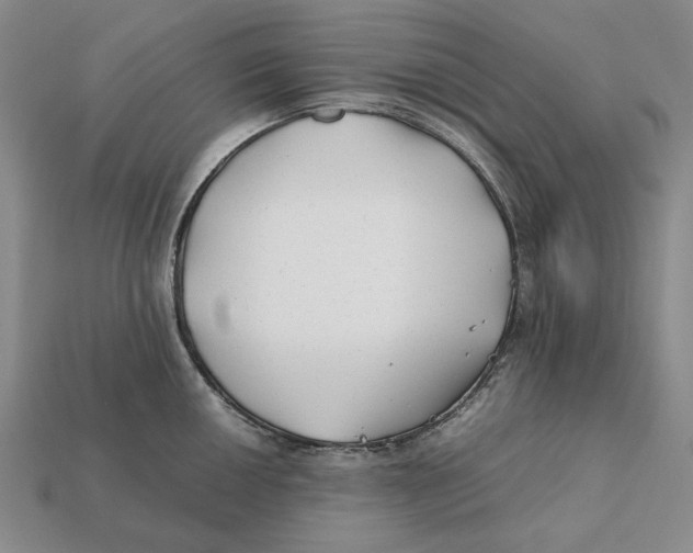 X0000112411050200909110946