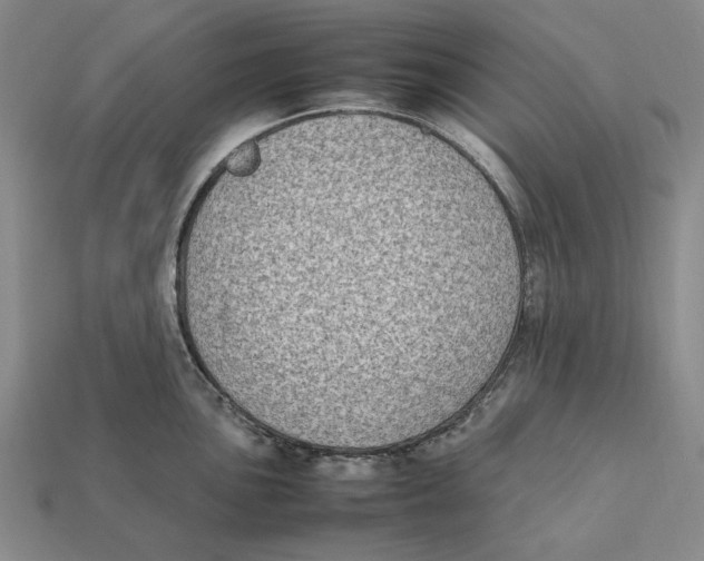 X0000112411051200909110946
