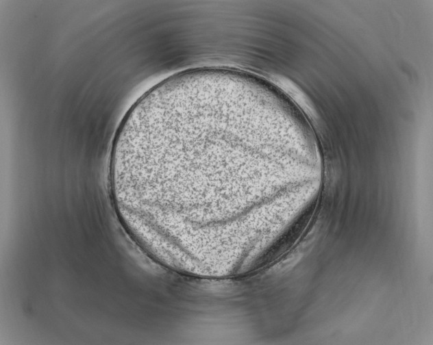 X0000112411052200909110946