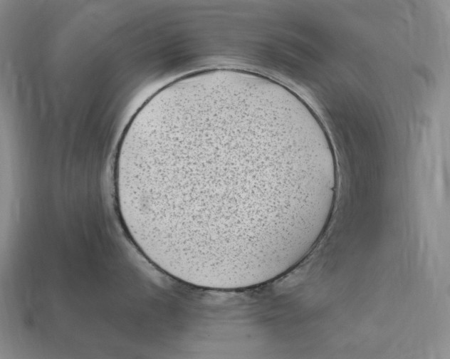 X0000112411056200909110946