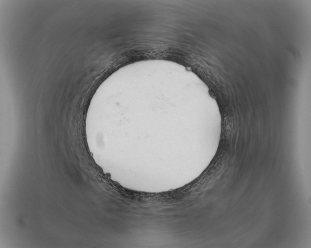 X0000112411057200909110945