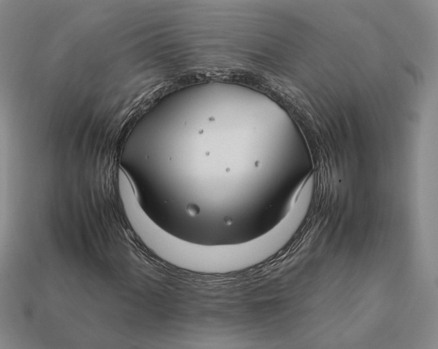 X0000112411060200909110945