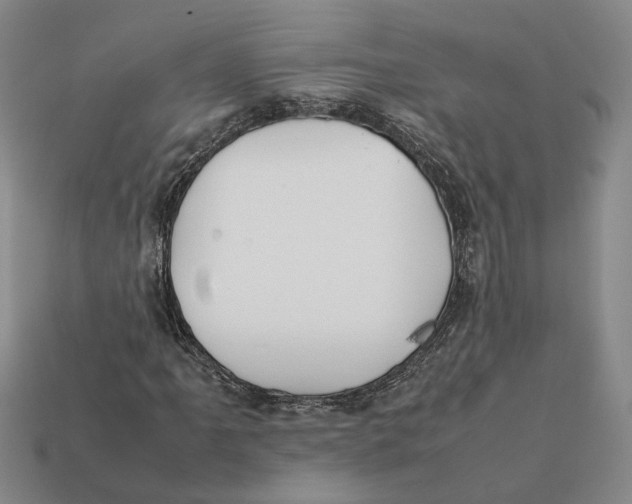 X0000112411061200909110945