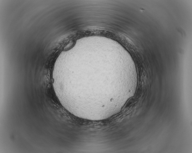 X0000112411062200909110945