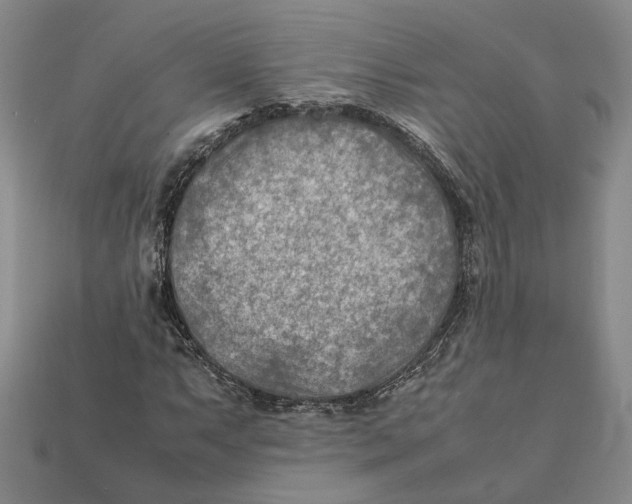 X0000112411063200909110945