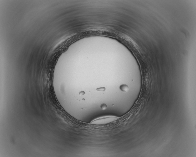 X0000112411064200909110945