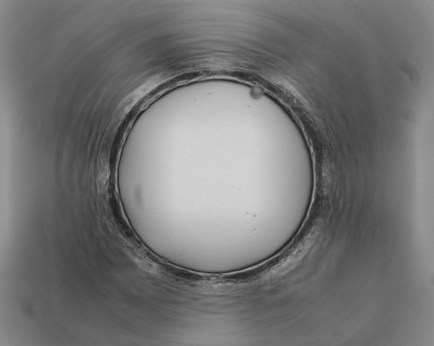 X0000112411065200909110945