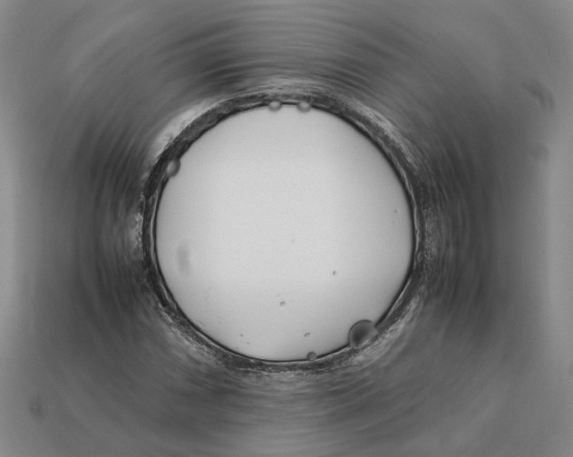 X0000112411066200909110945