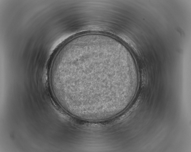 X0000112411070200909110945