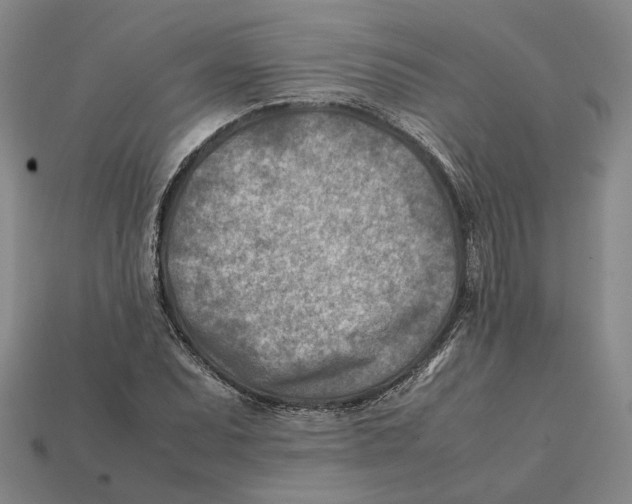 X0000112411071200909110945