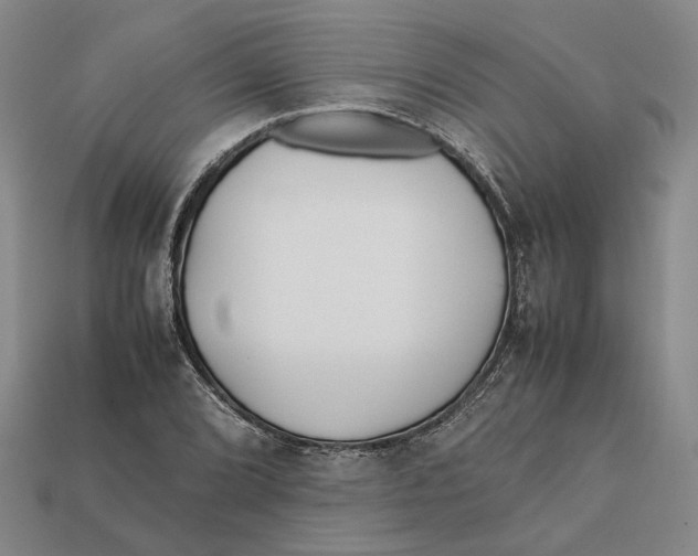X0000112411072200909110945