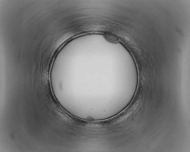 X0000112411073200909110945