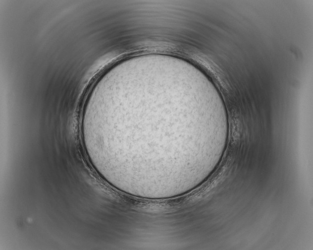 X0000112411074200909110945