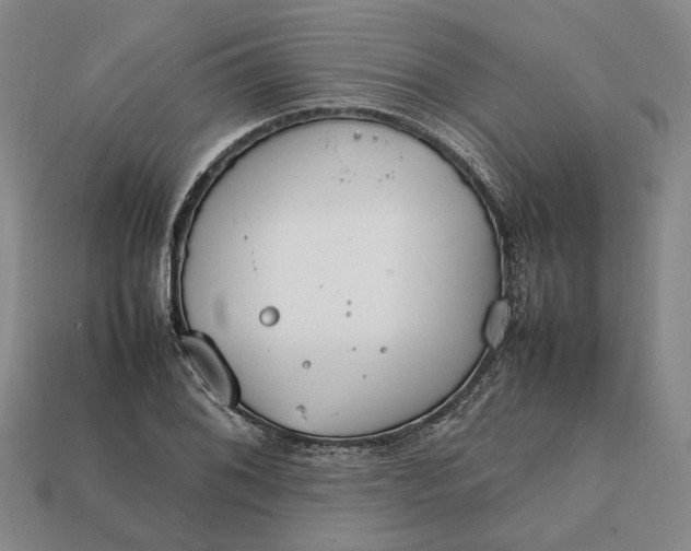 X0000112411076200909110945