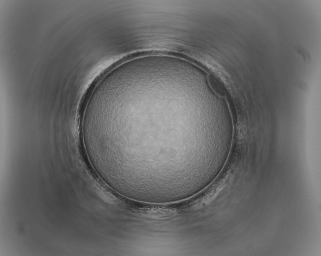 X0000112411077200909110945