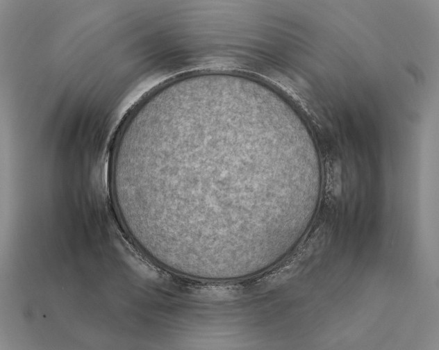 X0000112411078200909110945