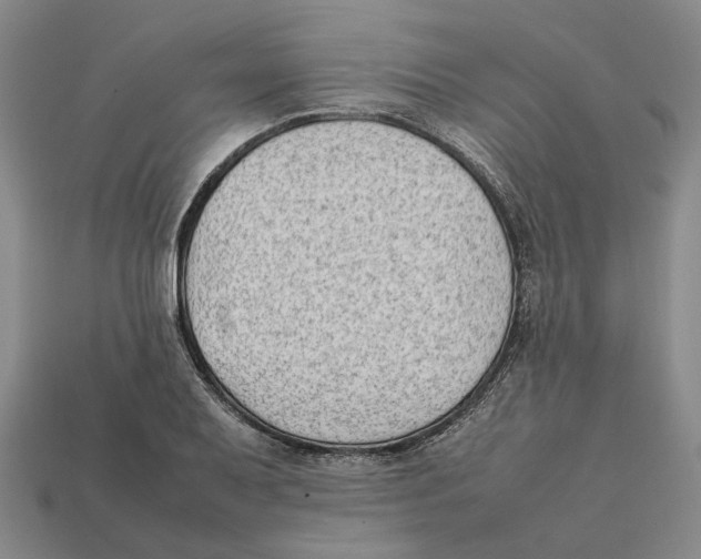 X0000112411079200909110945