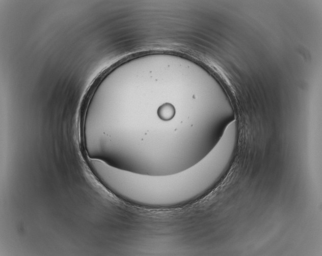 X0000112411080200909110945