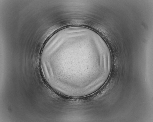 X0000112411081200909110945