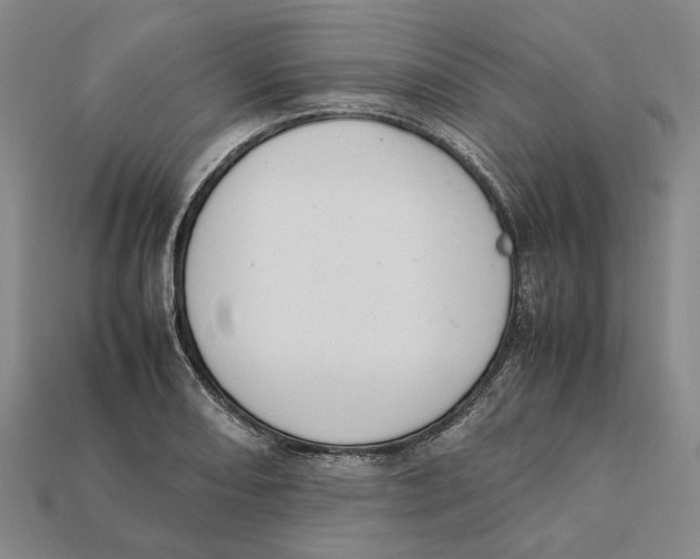 X0000112411082200909110945