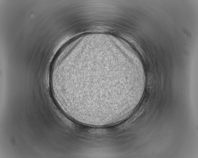 X0000112411083200909110945
