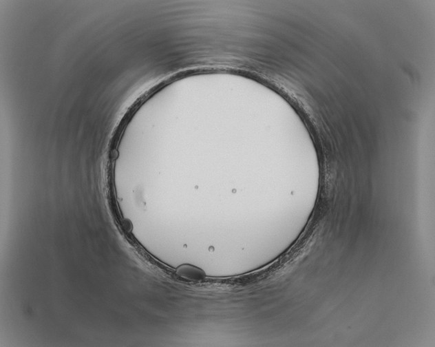 X0000112411085200909110945