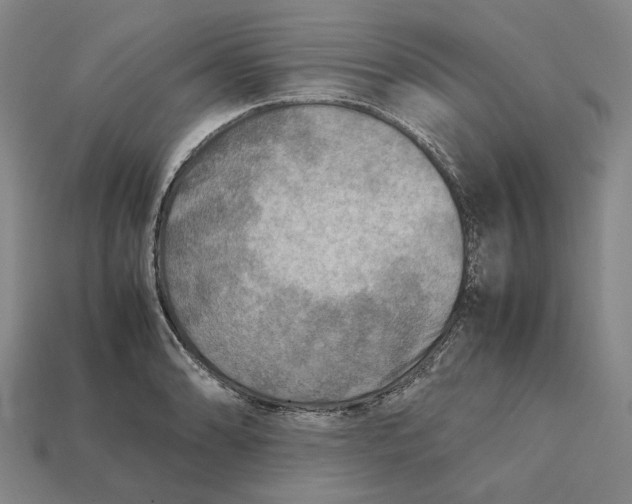 X0000112411086200909110945