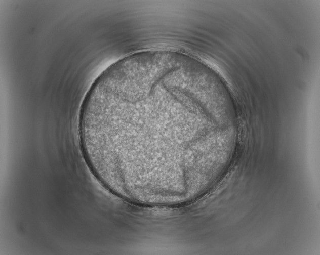 X0000112411087200909110945