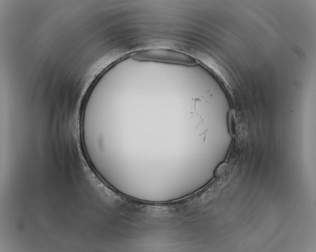 X0000112411088200909110945