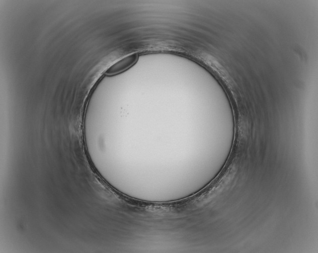 X0000112411089200909110945