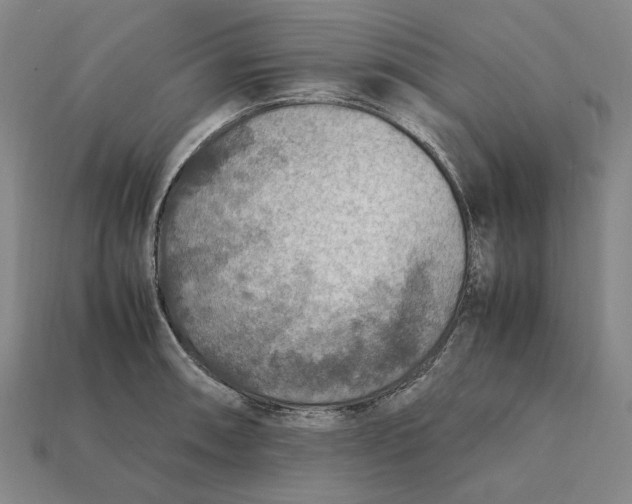 X0000112411090200909110945
