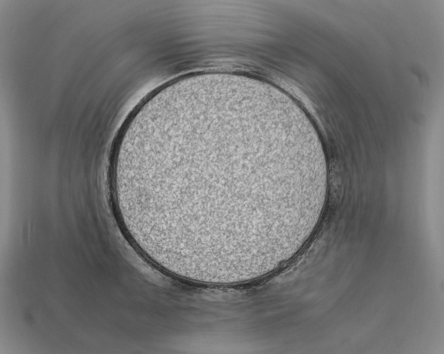 X0000112411091200909110945