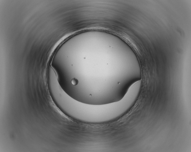 X0000112411092200909110945