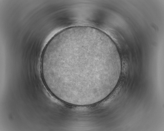 X0000112411094200909110945
