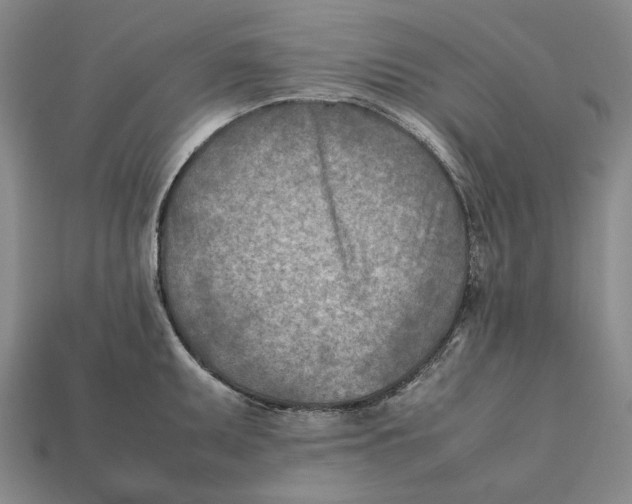 X0000112411095200909110945