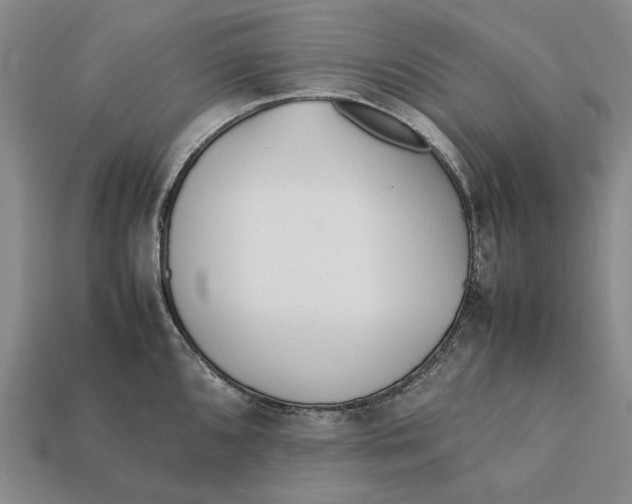 X0000112411096200909110945