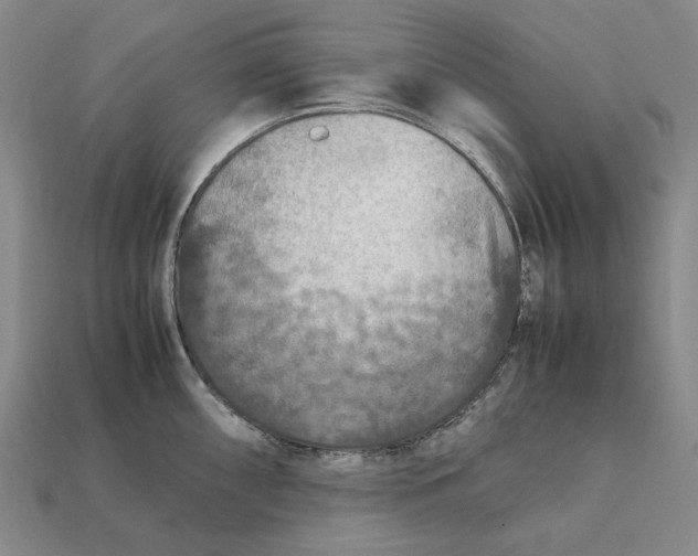 X0000112411098200909110945