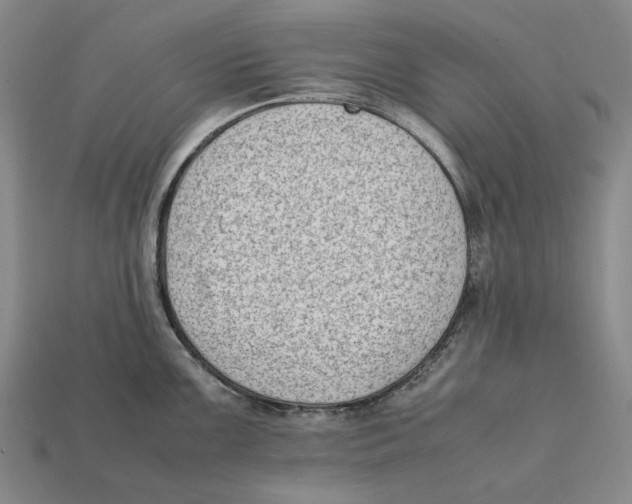 X0000112411099200909110945