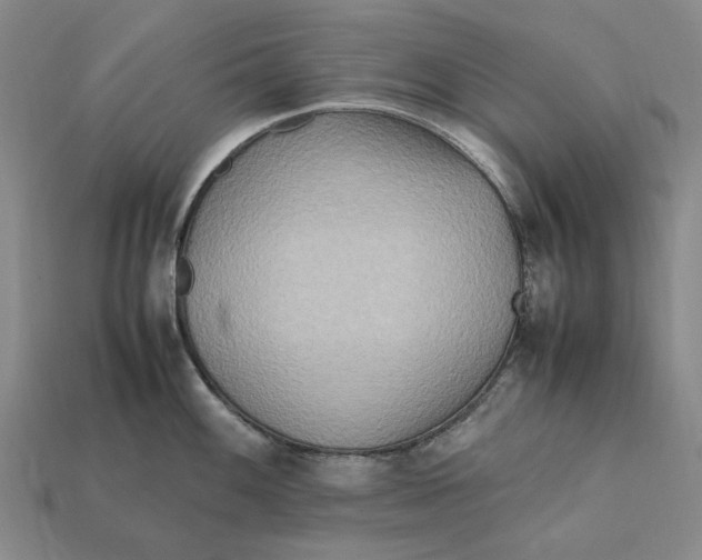 X0000112411100200909110945