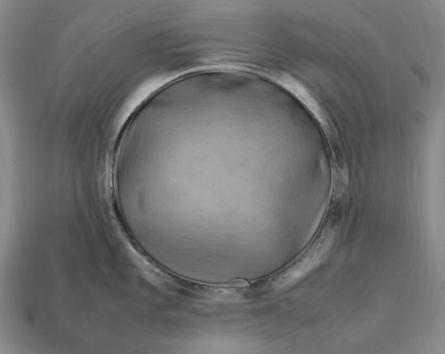 X0000112411101200909110945