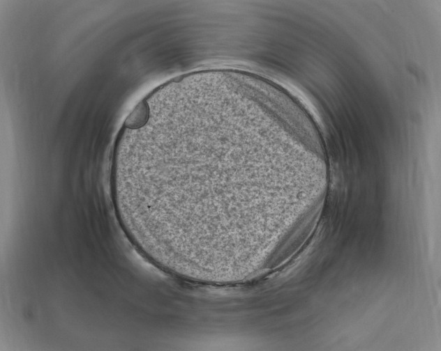 X0000112411102200909110945