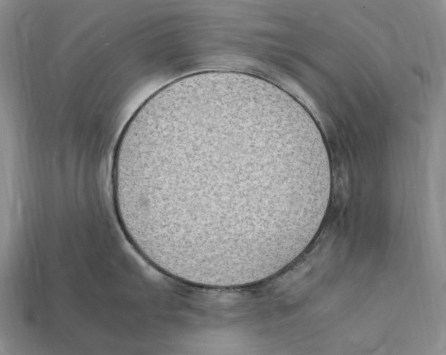 X0000112411103200909110945