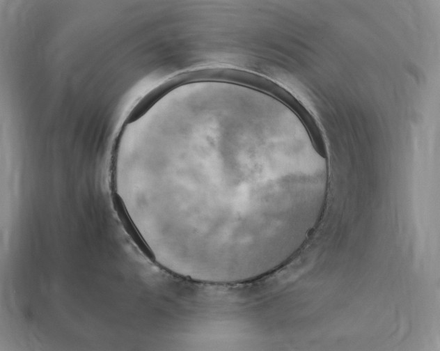 X0000112411104200909110945
