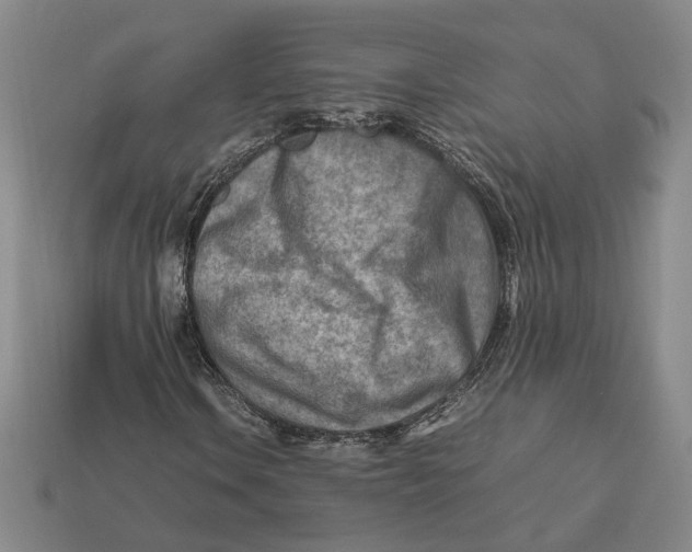 X0000112411106200909110944