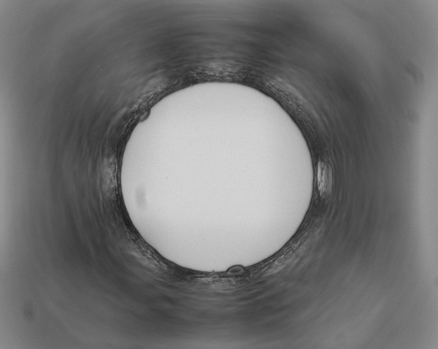 X0000112411107200909110944