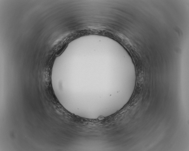 X0000112411110200909110944