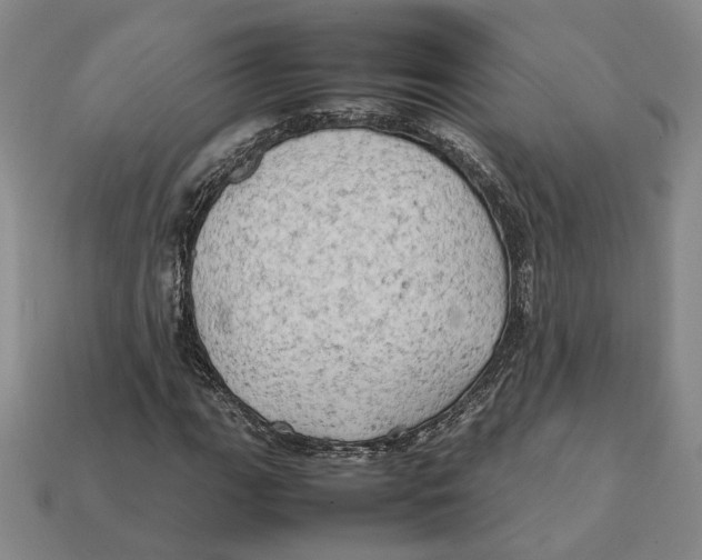 X0000112411111200909110944