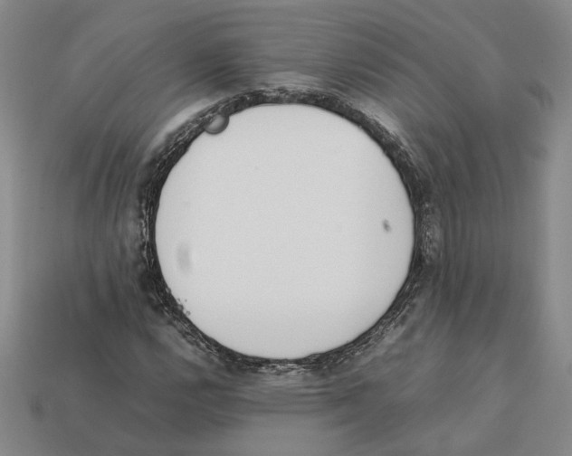 X0000112411112200909110944