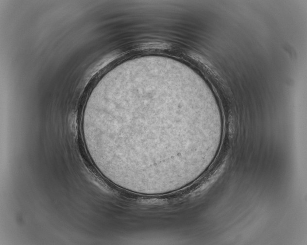 X0000112411113200909110944